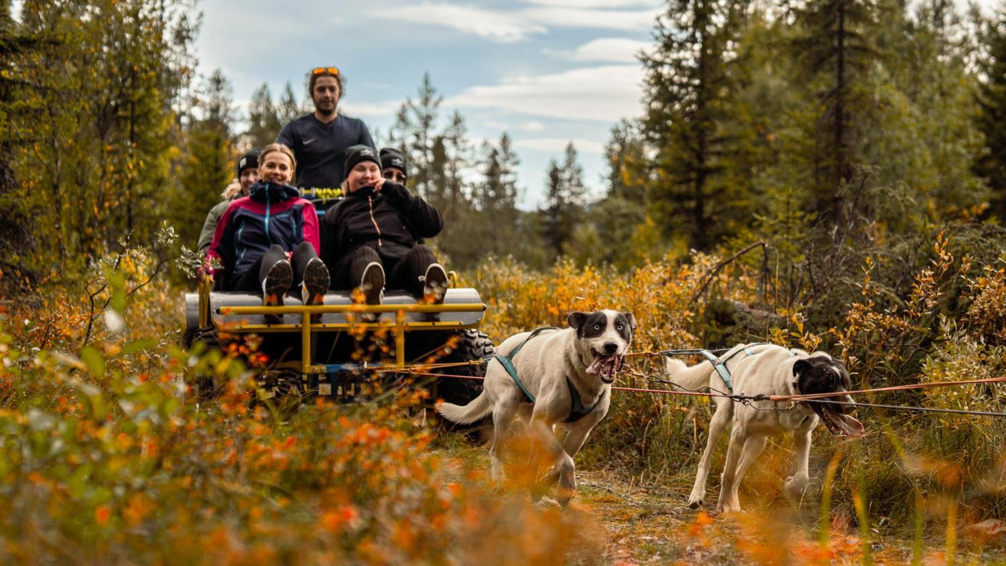 Skarsnuten Mountain Resort & Spa Hemsedal Dış mekan fotoğraf