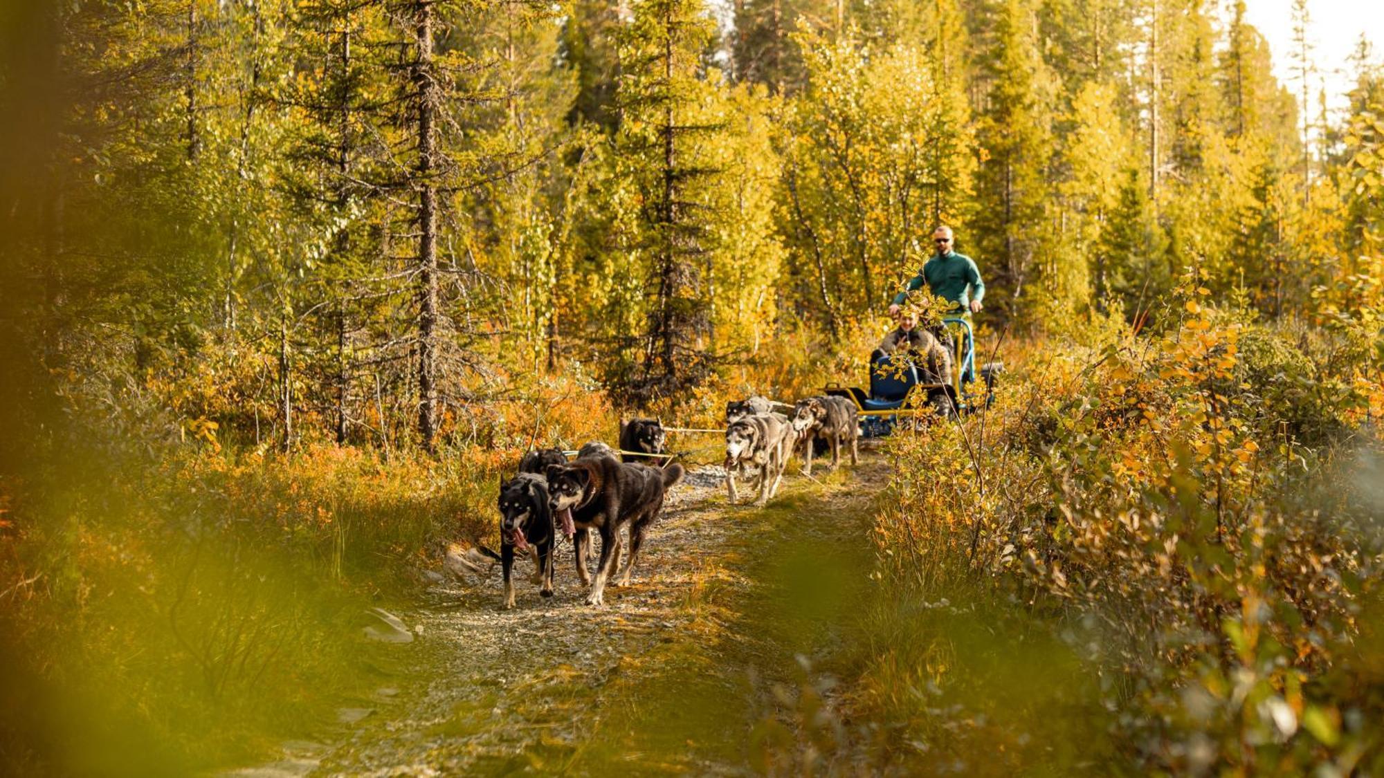 Skarsnuten Mountain Resort & Spa Hemsedal Dış mekan fotoğraf