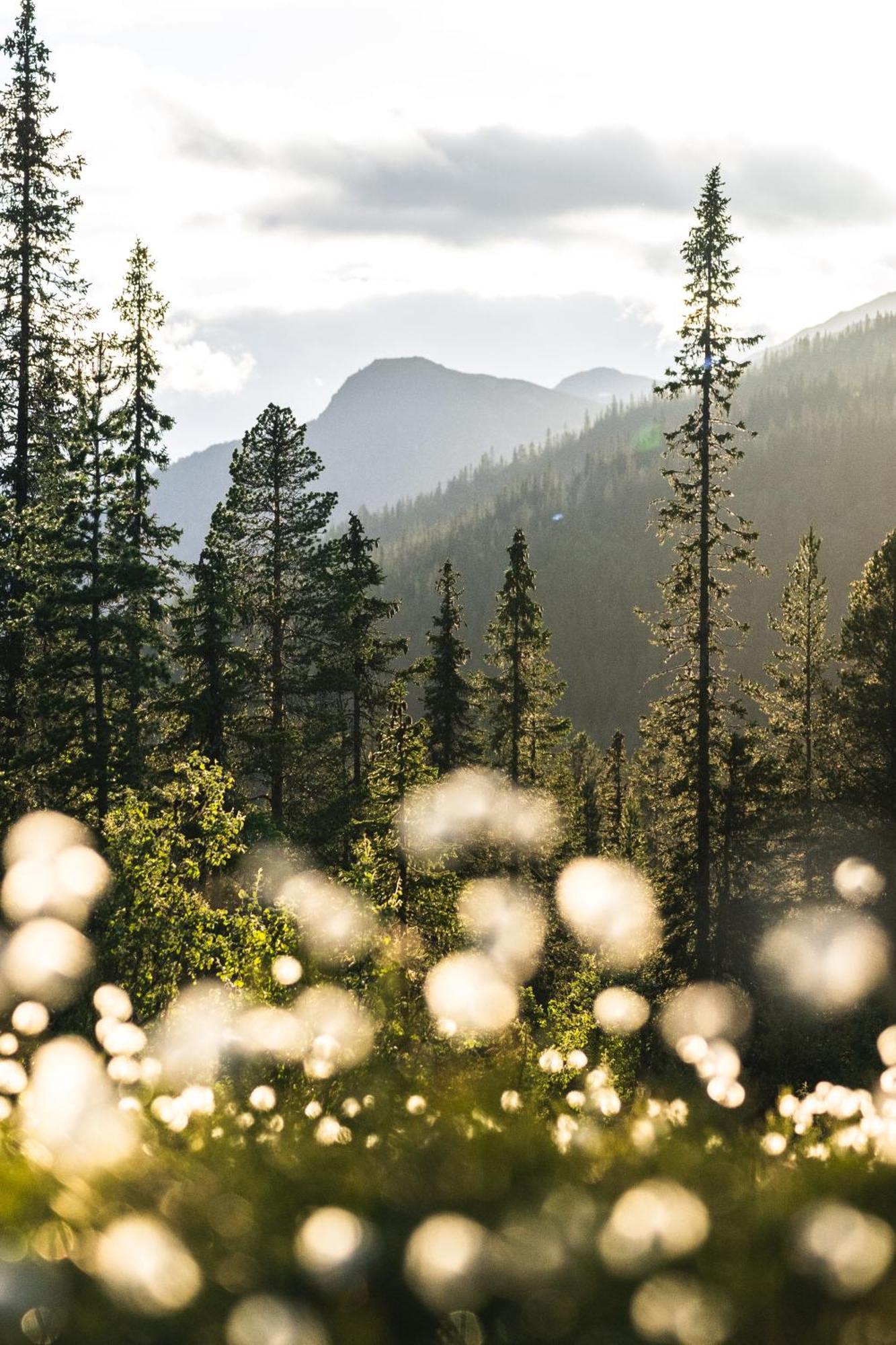 Skarsnuten Mountain Resort & Spa Hemsedal Dış mekan fotoğraf